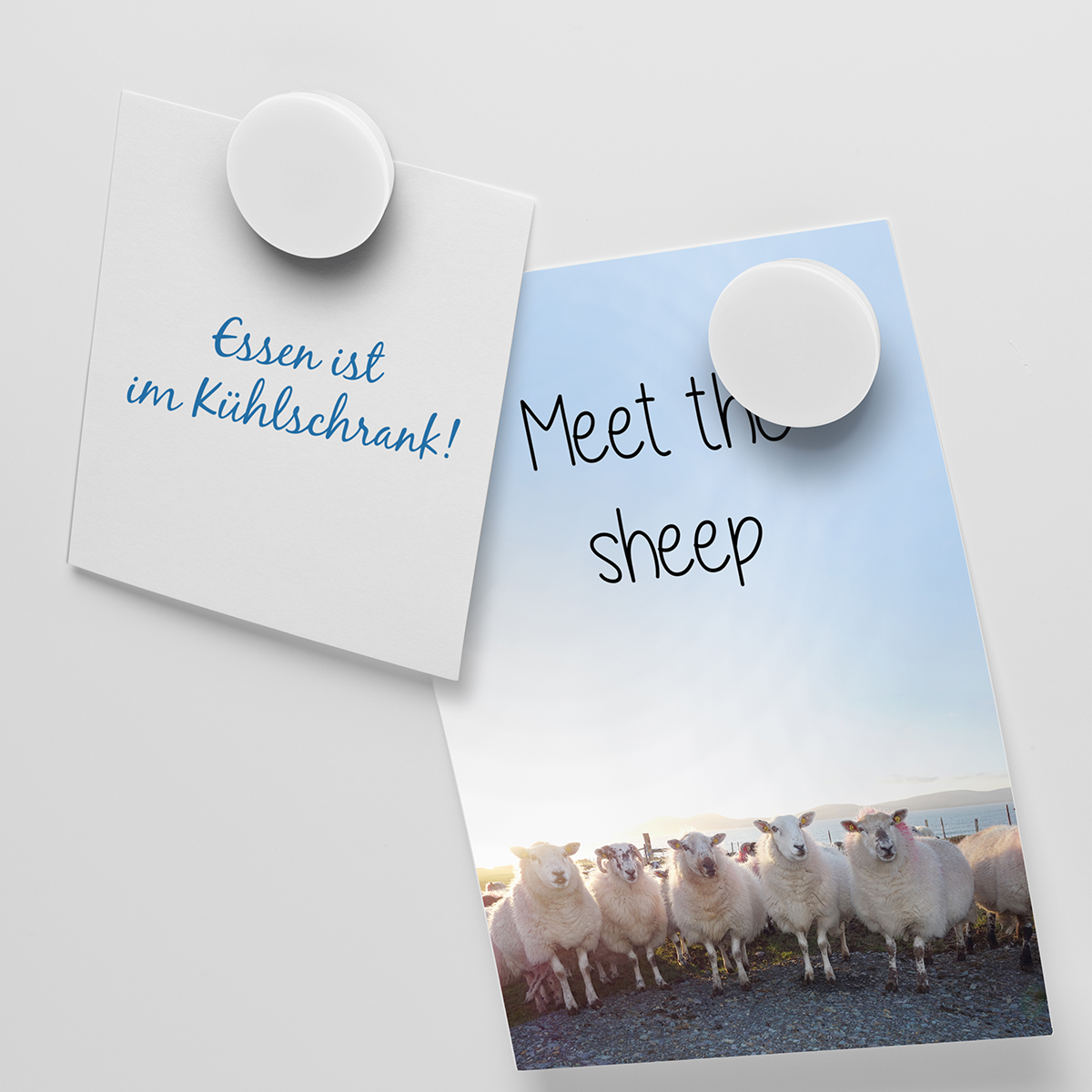 Magnet, rund als Werbeartikel mit Logo bedrucken