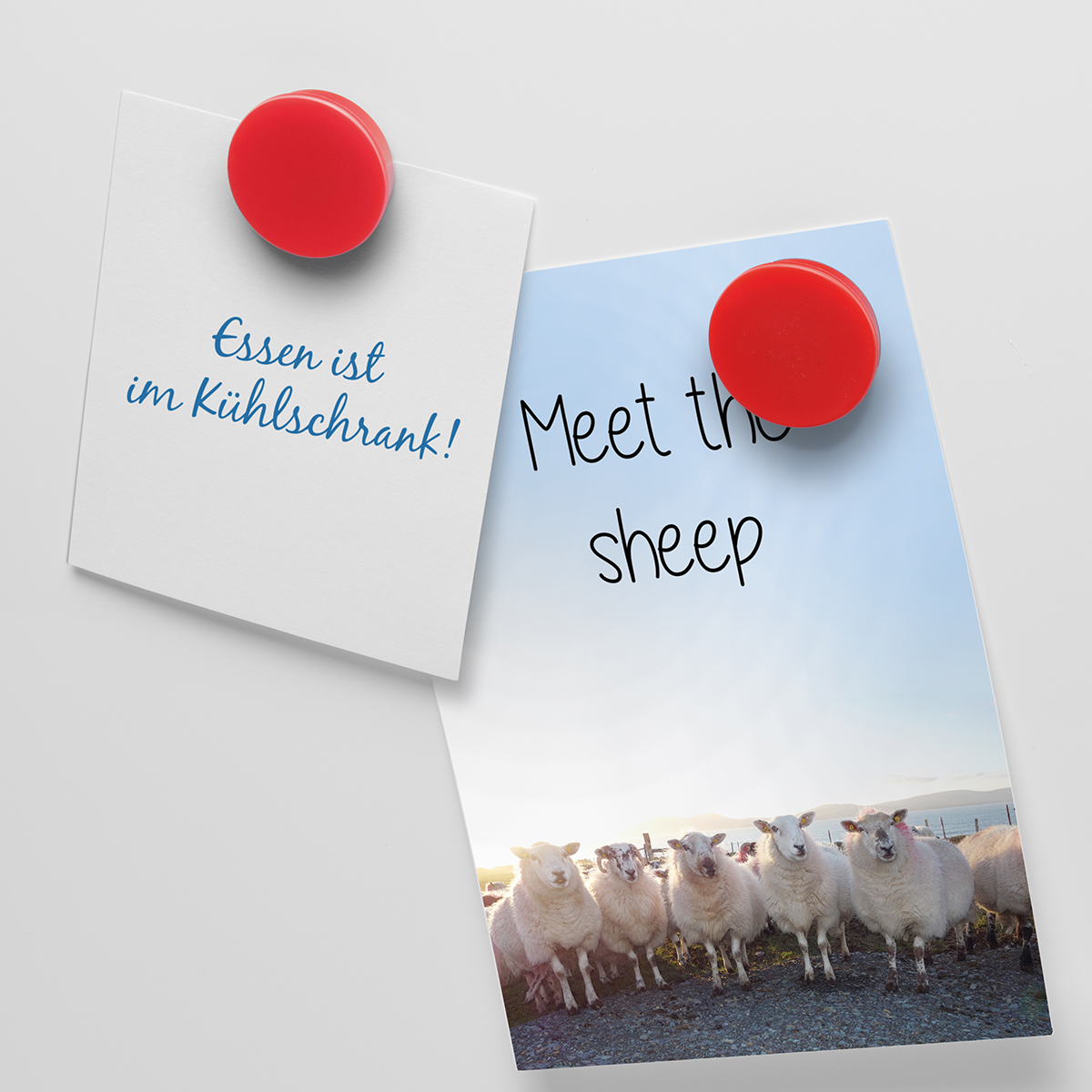 Magnet, rund als Werbeartikel mit Logo bedrucken