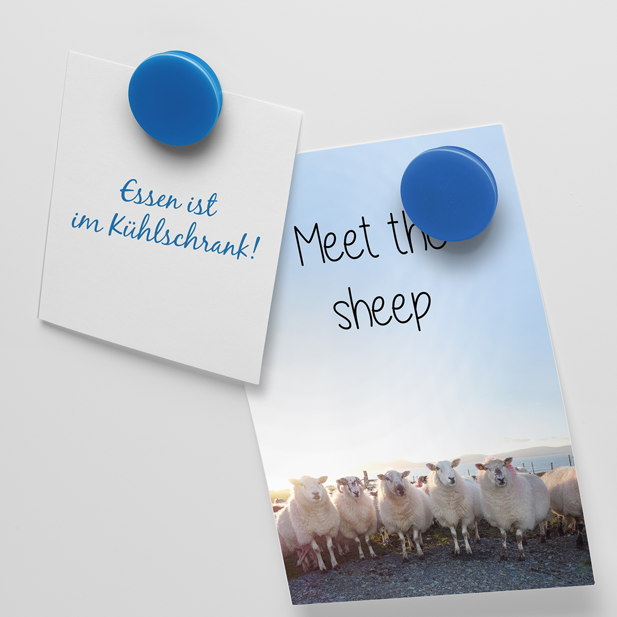 Magnet, rund als Werbeartikel mit Logo bedrucken
