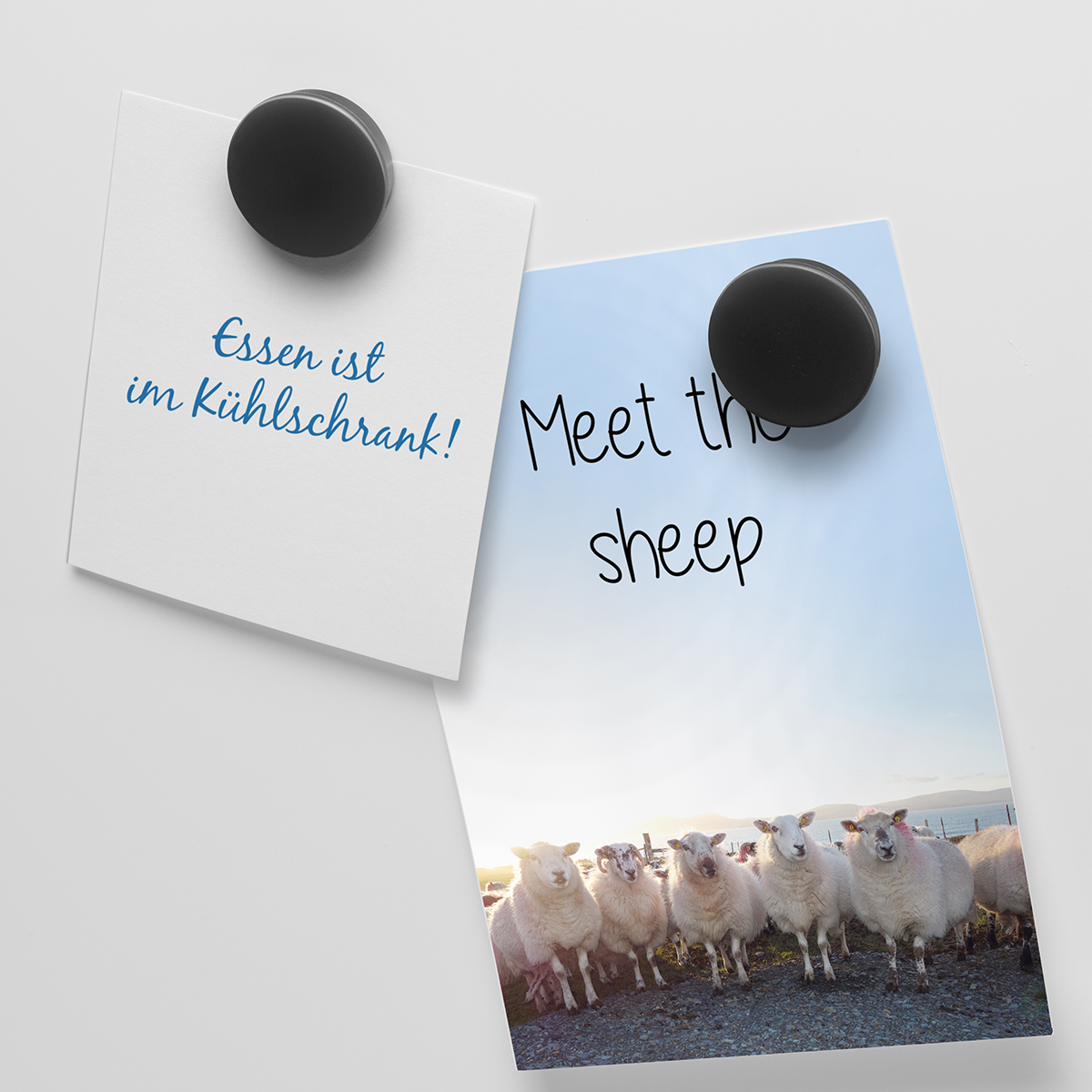 Magnet, rund als Werbeartikel mit Logo bedrucken
