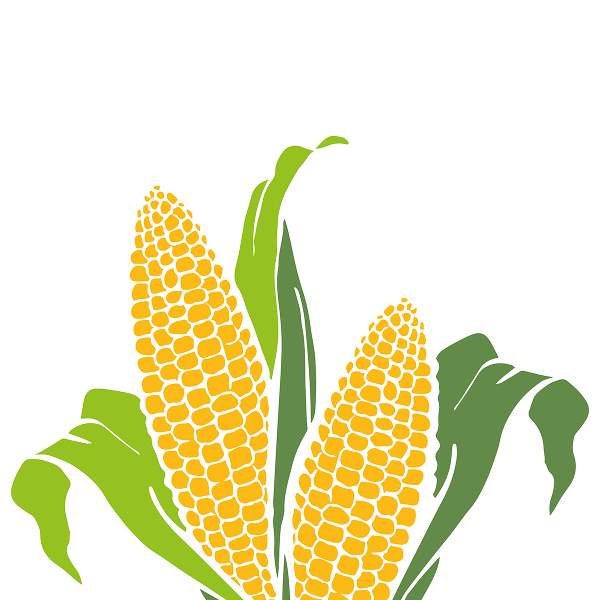 Geodreieck Bio als Werbeartikel mit Logo bedrucken