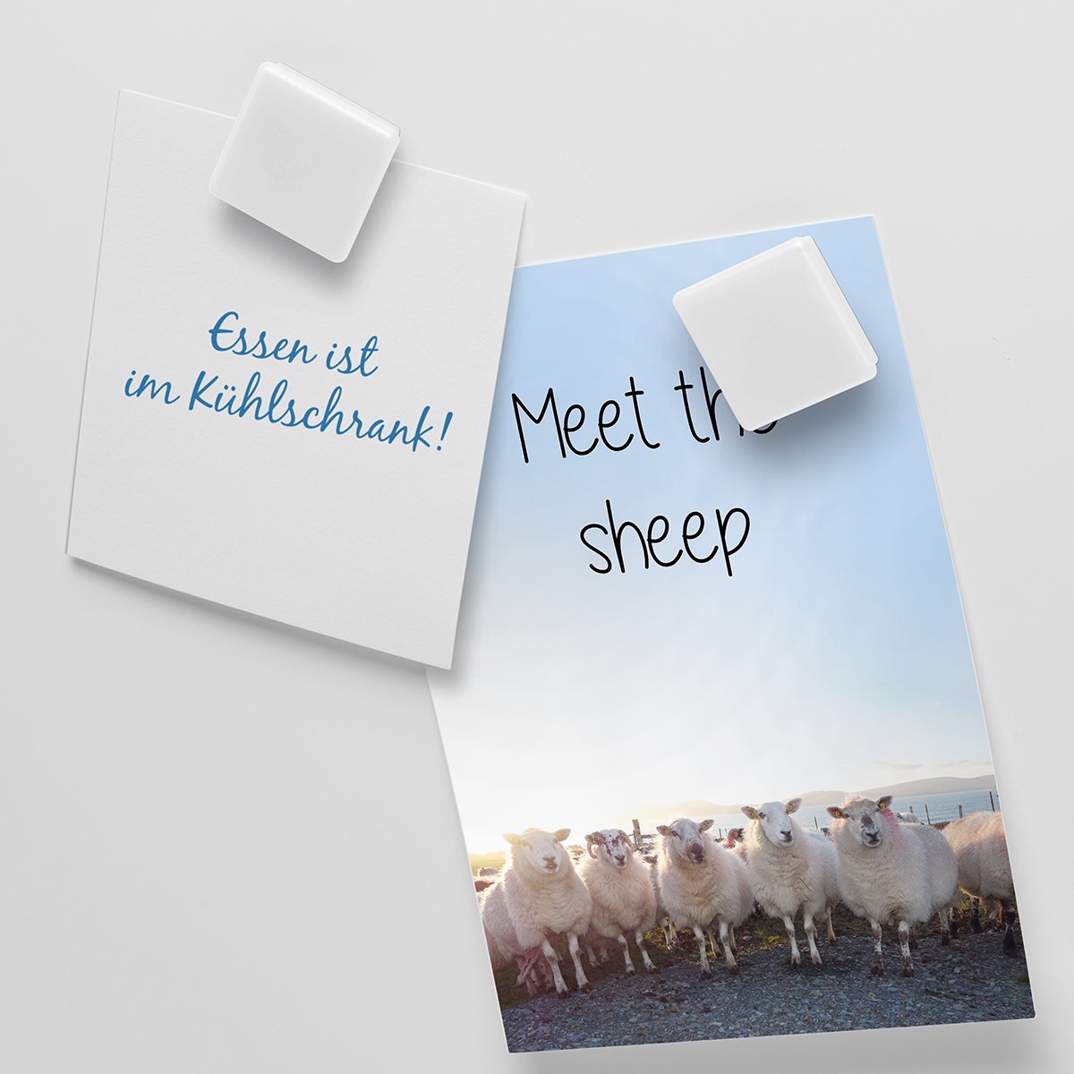 Magnet, quadratisch als Werbeartikel mit Logo bedrucken