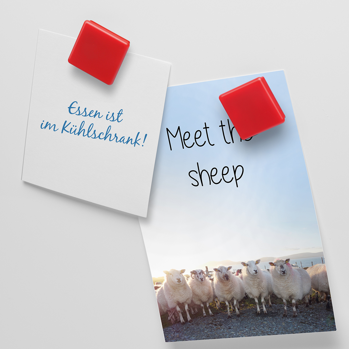 Magnet, quadratisch als Werbeartikel mit Logo bedrucken