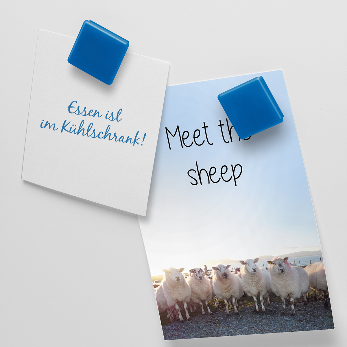 Magnet, quadratisch als Werbeartikel mit Logo bedrucken
